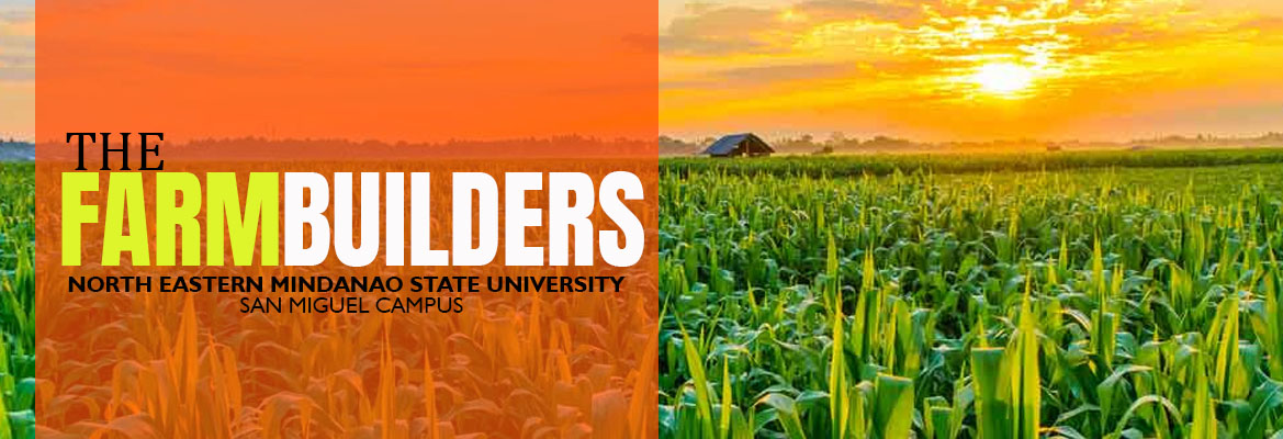 the-farm-builders